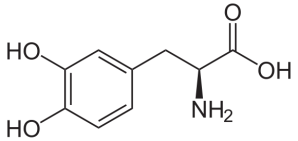 580px-3,4-Dihydroxy-L-phenylalanin_(Levodopa).svg